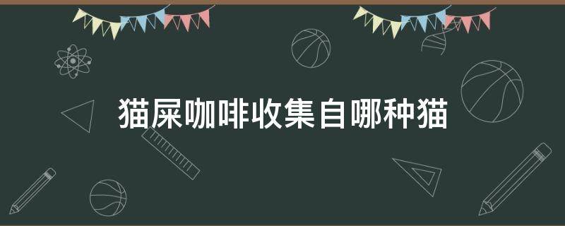 猫屎咖啡收集自哪种猫 猫屎咖啡收集自哪种猫的牌