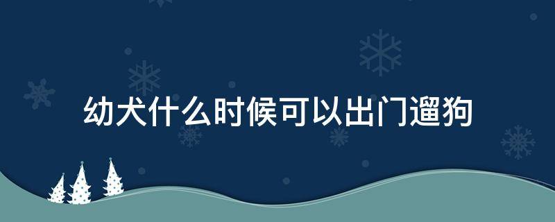 幼犬什么时候可以出门遛狗 狗狗几个月能出门遛狗