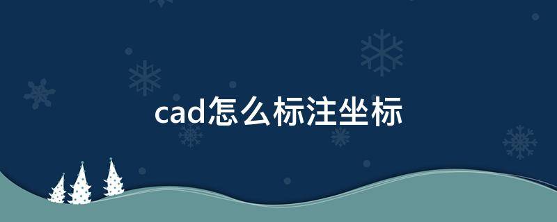 cad怎么标注坐标（手机cad怎么标注坐标）