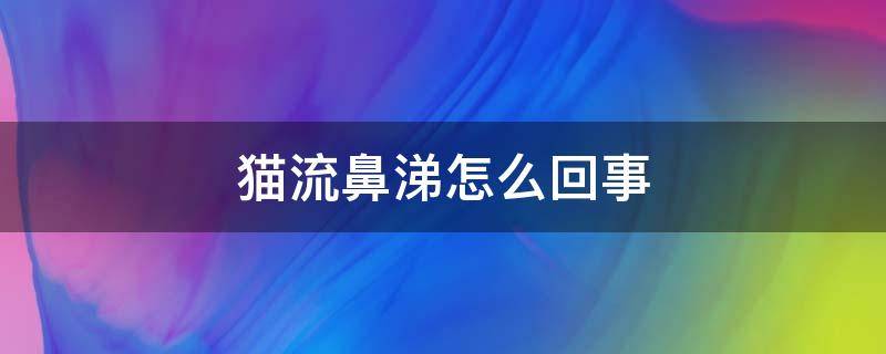 猫流鼻涕怎么回事 猫流鼻涕咋回事