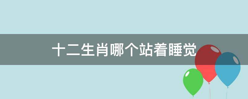 十二生肖哪個站著睡覺 十二生肖誰站著睡覺