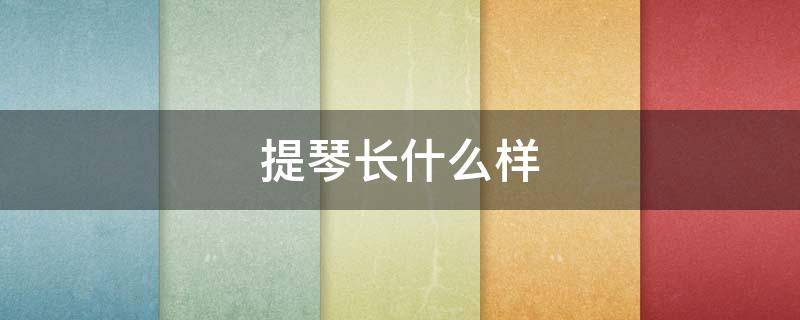 提琴長(zhǎng)什么樣 大提琴長(zhǎng)什么樣?