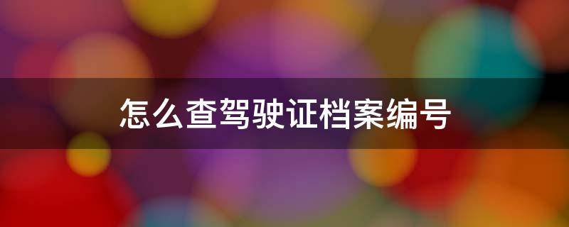 怎么查驾驶证档案编号（用身份证号怎么查驾驶证档案编号）