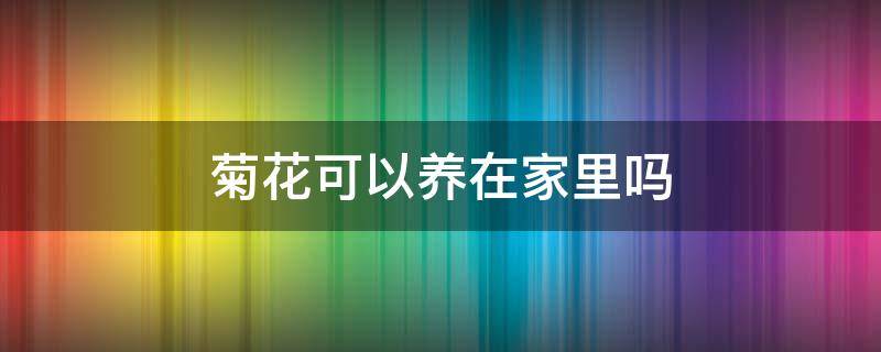 菊花可以养在家里吗（黄色菊花可以养在家里吗）