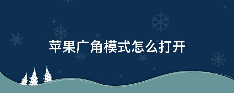 苹果广角模式怎么打开（苹果手机在哪里打开广角模式）