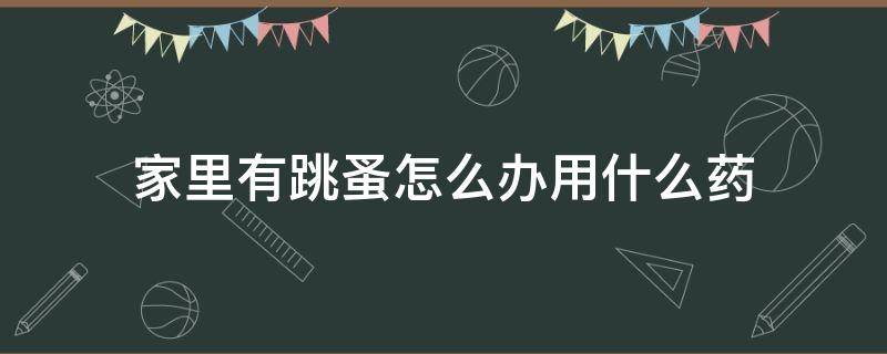 家里有跳蚤怎么辦用什么藥（怎樣處理跳蚤用什么藥）