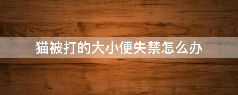 貓被打的大小便失禁怎么辦 貓咪被打的大小便失禁怎么辦