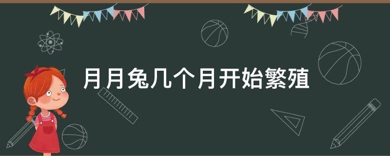 月月兔几个月开始繁殖 月月兔能繁殖多长时间