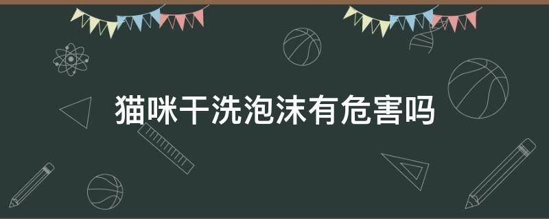 猫咪干洗泡沫有危害吗 猫干洗泡沫有用吗