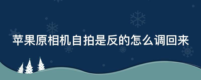 苹果原相机自拍是反的怎么调回来（苹果原相机自拍是反的怎么调回来11）