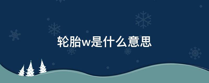 轮胎w是什么意思 轮胎的是什么意思