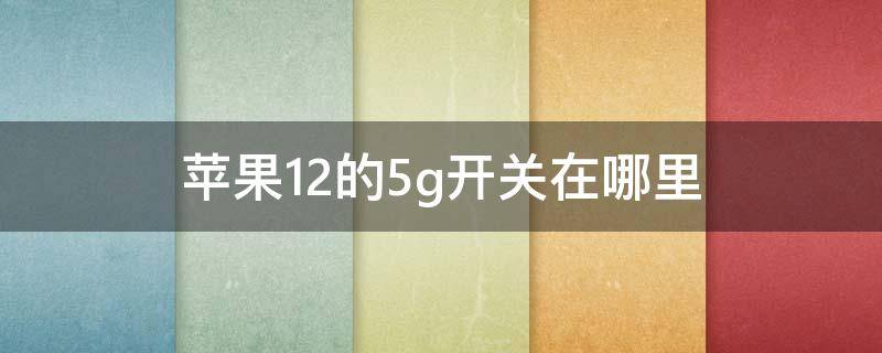 苹果12的5g开关在哪里 苹果12的5g开关在哪里?