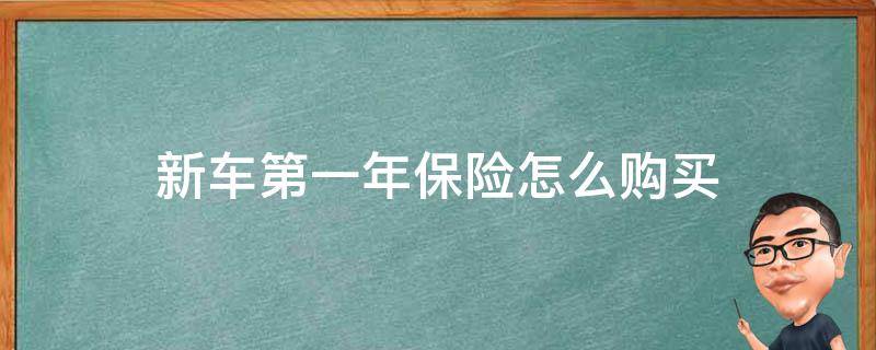 新车第一年保险怎么购买（一年的新车怎么买保险）