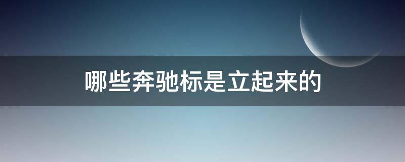 哪些奔驰标是立起来的 奔驰什么车标是立起来的