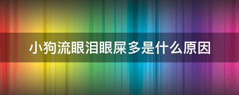 小狗流眼泪眼屎多是什么原因 小狗流眼泪有眼屎是怎么回事