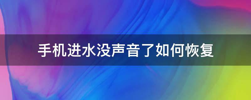 手机进水没声音了如何恢复（手机进水了没有声音了该怎么办）