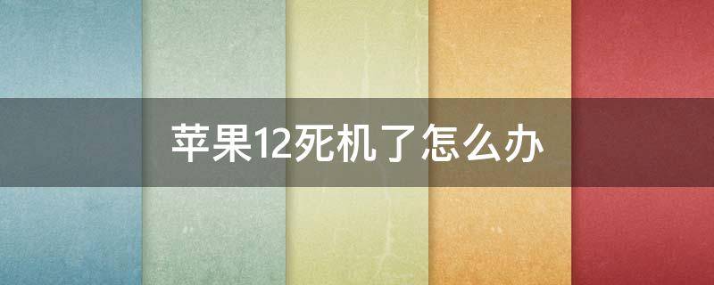 苹果12死机了怎么办（苹果12死机问题）