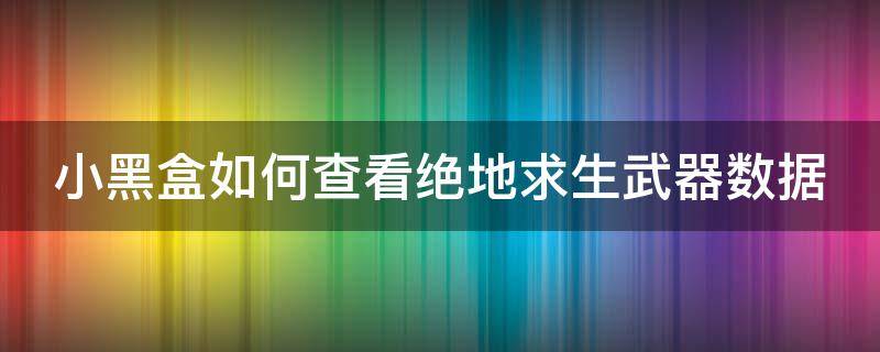 小黑盒如何查看绝地求生武器数据（小黑盒如何查看绝地求生武器数据记录）