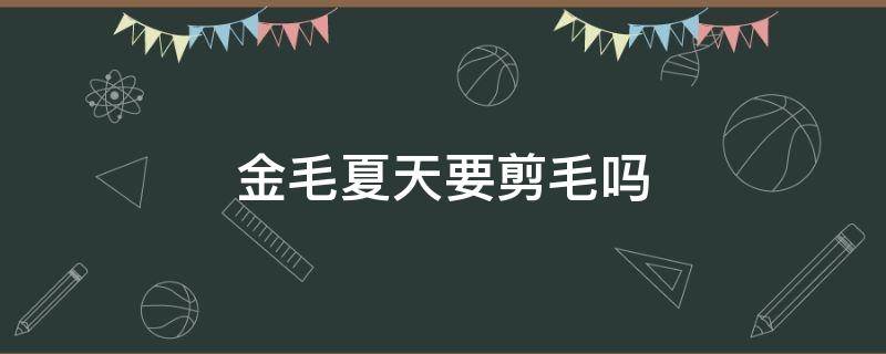 金毛夏天要剪毛吗 金毛夏天需要剪毛吗