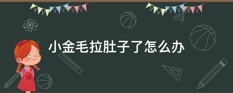 小金毛拉肚子了怎么辦（小金毛拉肚子了怎么辦就是拉?。?></p>
      <p></p>                                     <p>小金毛拉肚子可以先給小金毛喂一些寵物專用的益生菌去調(diào)理腸道止瀉。如果是未免疫的小金毛，拉肚子伴隨著嘔吐、精神萎靡、食欲下降等，就需要考慮排查犬的細小病毒和犬的冠狀病毒，如果是病毒感染就需要針對病毒使用生物制劑配合打針輸液進行治療，單純的吃益生菌是沒有效果的，建議及時送小金毛到醫(yī)院進行治療。</p>                                     </p>    </div>
    
   <div   id=