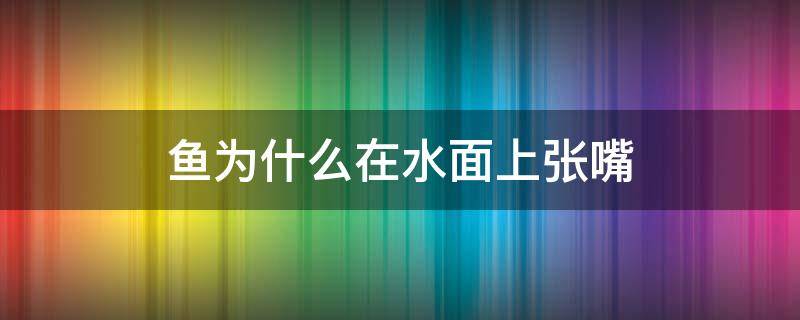 魚為什么在水面上張嘴 魚為什么在水面上張嘴吐泡泡