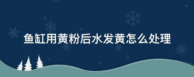 鱼缸用黄粉后水发黄怎么处理 鱼缸加黄粉水发黄的解决办法