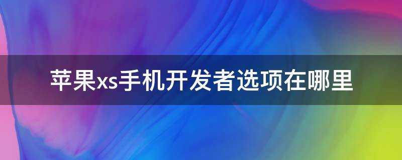 蘋果xs手機開發(fā)者選項在哪里 蘋果x手機的開發(fā)者選項在哪