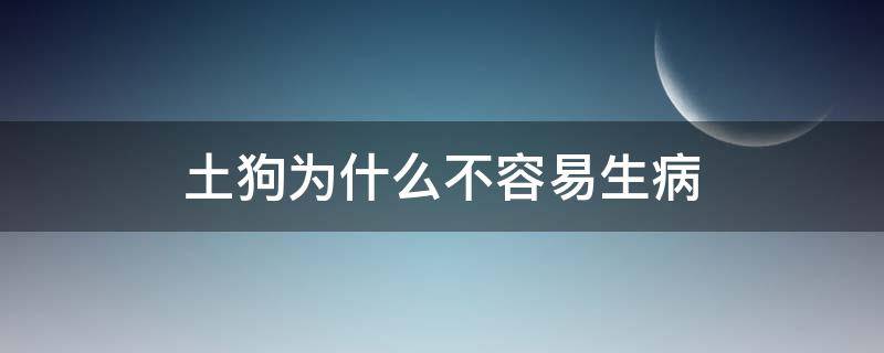 土狗为什么不容易生病 土狗一般会生什么病