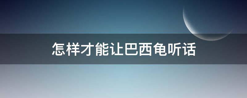 怎样才能让巴西龟听话 如何让巴西龟