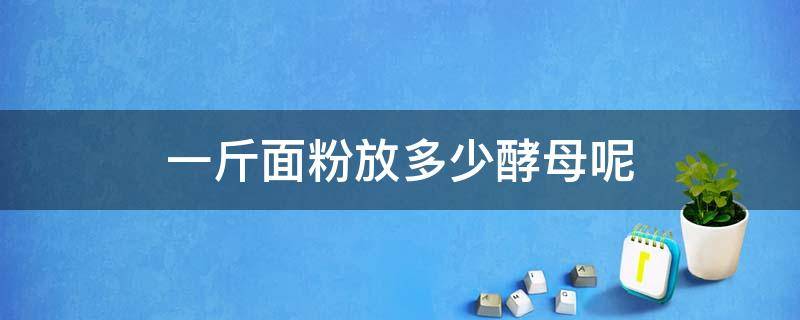 一斤面粉放多少酵母呢（一斤面粉到底放多少酵母）