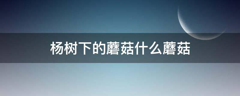 楊樹下的蘑菇什么蘑菇 楊樹長(zhǎng)什么蘑菇