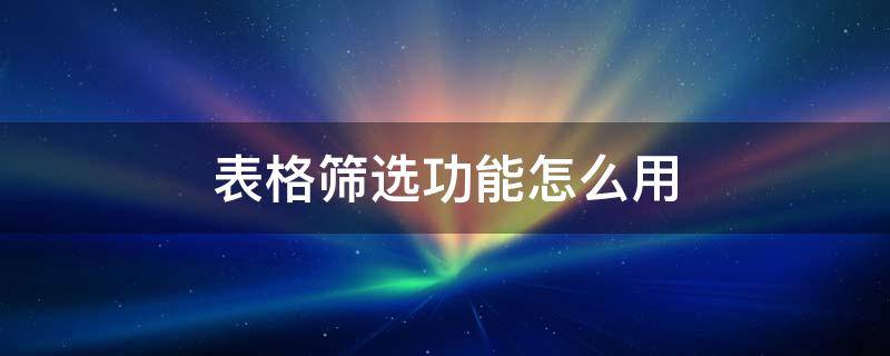 表格筛选功能怎么用 表格的筛选功能怎么用