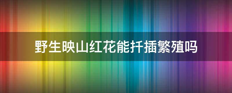 野生映山红花能扦插繁殖吗 野生映山红能在水中扦插吗