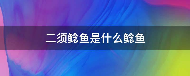 二須鯰魚是什么鯰魚（二須鯰魚是土鯰魚嗎）