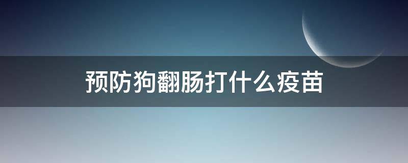 预防狗翻肠打什么疫苗（预防狗翻肠子打什么疫苗）