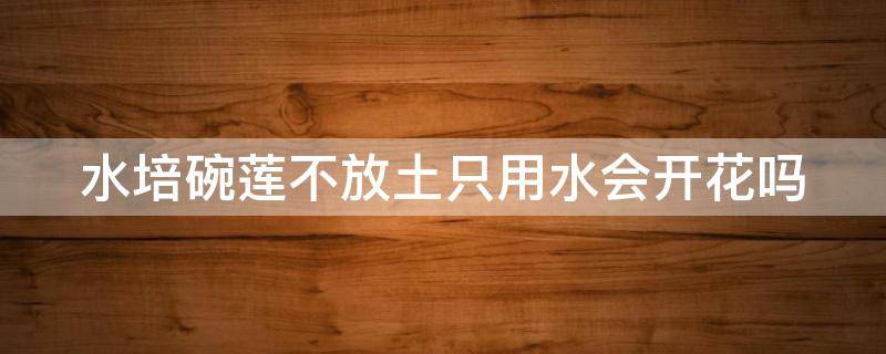 水培碗莲不放土只用水会开花吗 水培碗莲不放土只用水会开花吗水莲花药用功能?