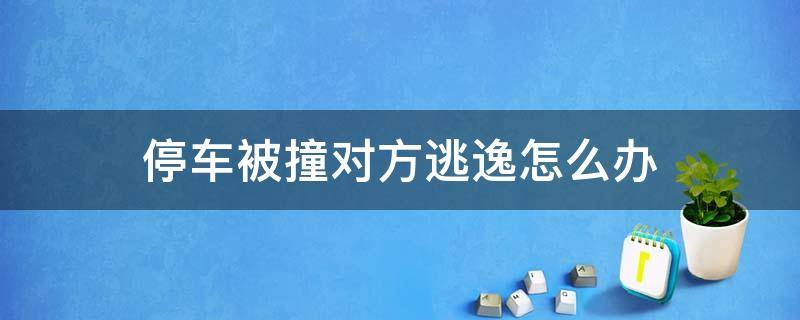 停車被撞對(duì)方逃逸怎么辦（我停車被撞對(duì)方逃逸怎么辦）