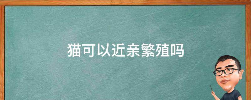 猫可以近亲繁殖吗 一窝猫可以近亲繁殖吗