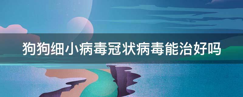 狗狗细小病毒冠状病毒能治好吗（狗狗细小冠状病毒会自愈吗）