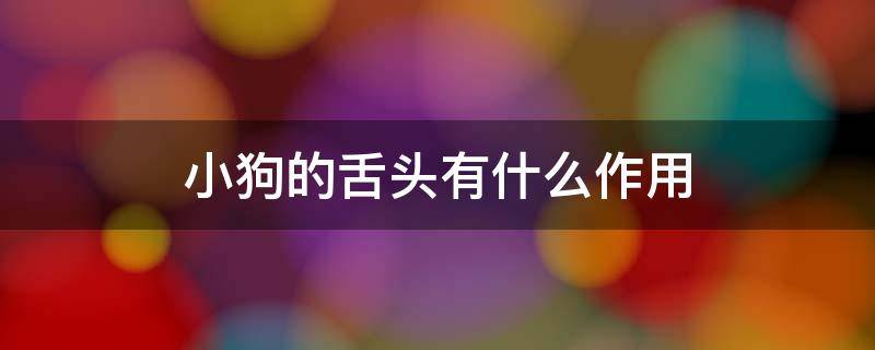 小狗的舌头有什么作用（小狗的舌头有什么作用?回答二年级的语文考试）