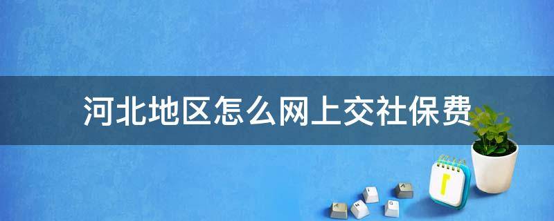 河北地區(qū)怎么網(wǎng)上交社保費(fèi)（河北社保怎么繳費(fèi)）