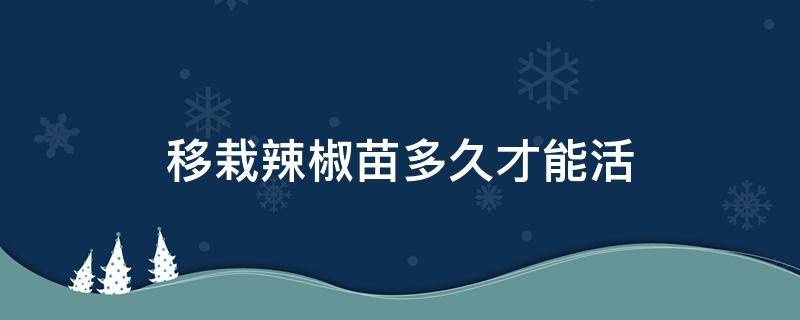 移栽辣椒苗多久才能活 辣椒苗可以活多久