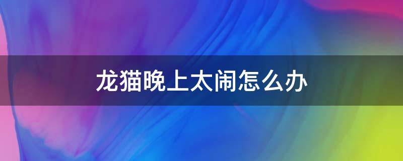 龍貓晚上太鬧怎么辦 如何使龍貓晚上不鬧