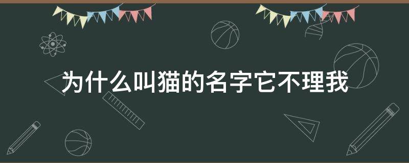 為什么叫貓的名字它不理我（為什么叫貓咪的名字它不理我）