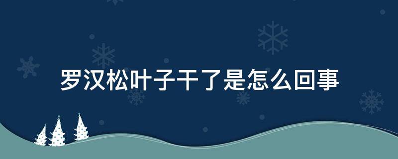 罗汉松叶子干了是怎么回事 罗汉松叶子都干了怎么办