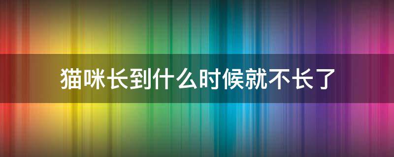 猫咪长到什么时候就不长了 猫咪长到几个月就不长了