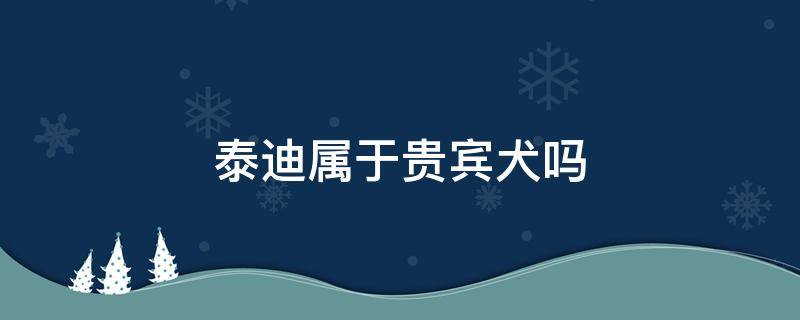 泰迪属于贵宾犬吗（泰迪犬属于贵宾犬吗）