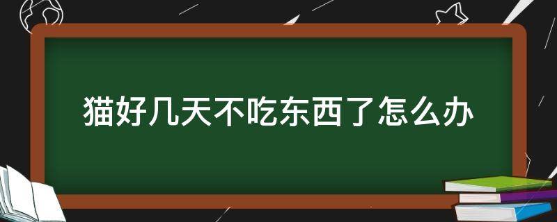 猫好几天不吃东西了怎么办 猫已经三天不吃东西了怎么办