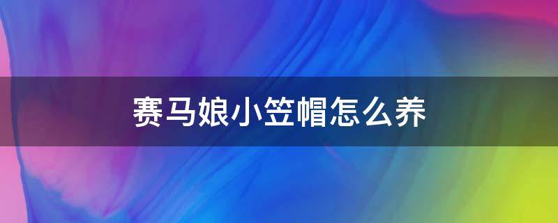 赛马娘小笠帽怎么养 赛马娘小笠帽技能触发