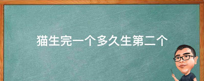 猫生完一个多久生第二个（猫咪生完一个最长多久生第二个）